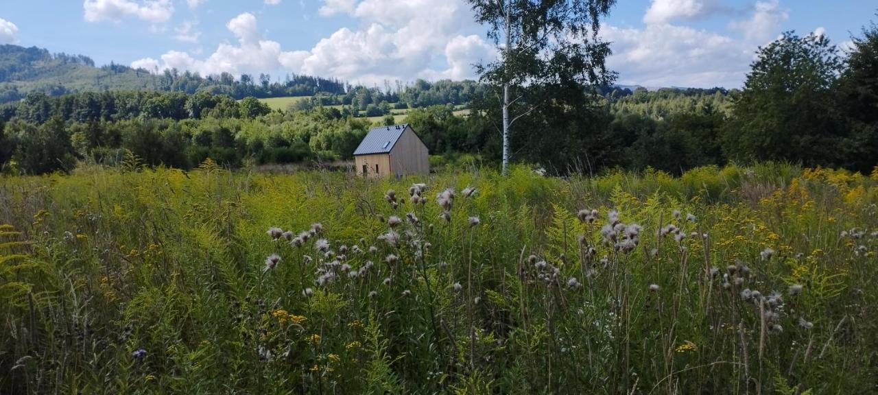 Dom Wsrod Gwiazd Villa Jarnołtówek Buitenkant foto